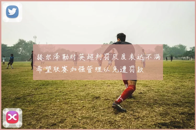 赫尔泽勒对英超判罚尺度表达不满希望联赛加强管理以免遭罚款