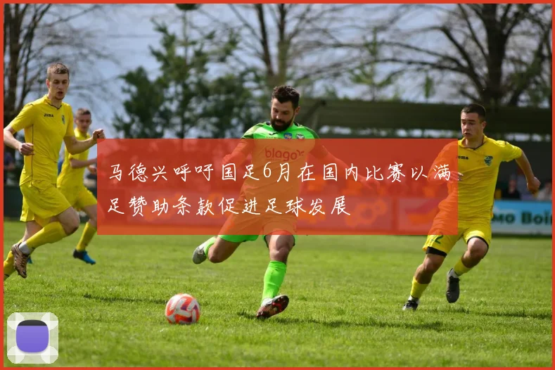 马德兴呼吁国足6月在国内比赛以满足赞助条款促进足球发展